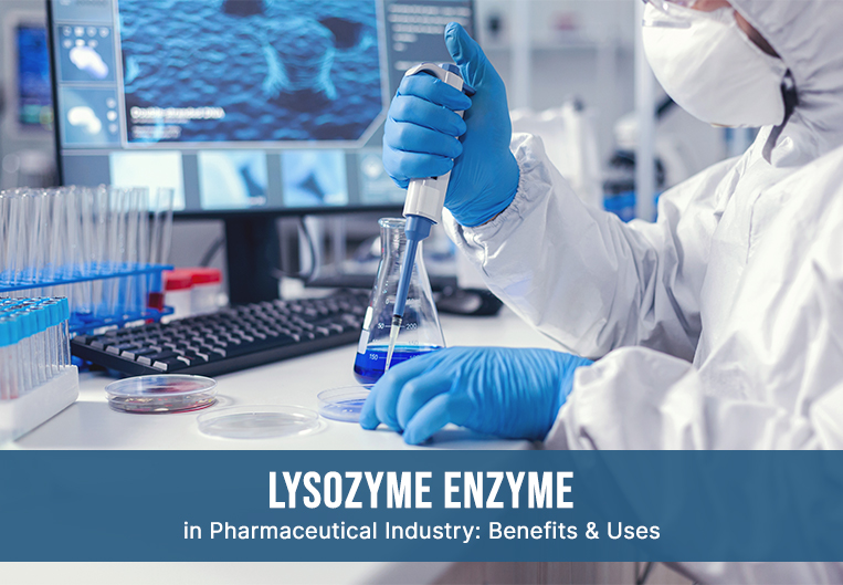 Lysozyme And Its Uses In The Pharmaceutical Industry - Ultreze Enzymes