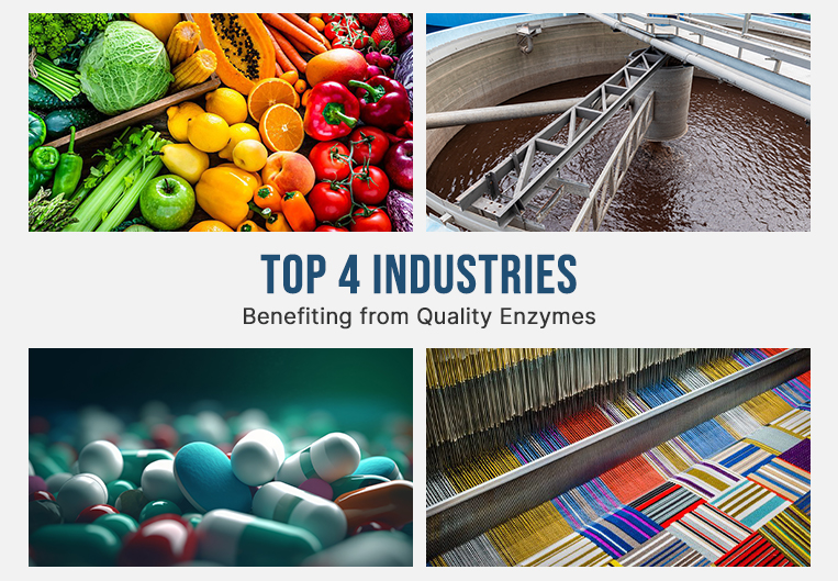 Top 4 Industries Benefiting from Quality Enzymes