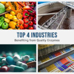 top 4 industries benefiting