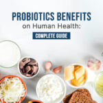 Probiotics Benefits on Human Health