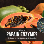 What Is Papain Enzyme & Benefits of Papain Enzyme