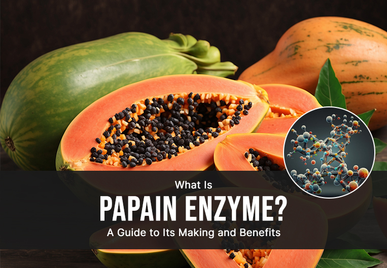 What Is Papain Enzyme? A Guide to Its Making and Benefits