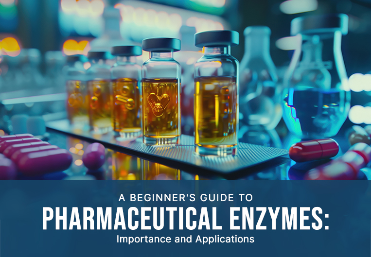 A Beginner’s Guide to Pharmaceutical Enzymes Why Are Pharmaceutical Enzymes Important