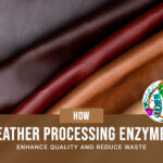 leather processing enzymes