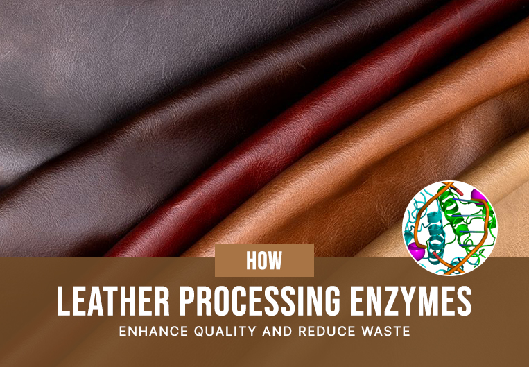 How Leather Processing Enzymes Enhance Quality and Reduce Waste