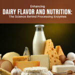 Boost Dairy Flavor & Nutrition with Processing Enzymes"