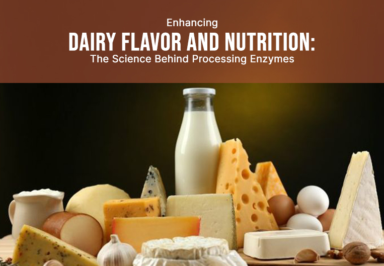 Enhancing Dairy Flavor and Nutrition: The Science Behind Processing Enzymes