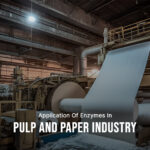 Application of enzymes in paper and pulp industry