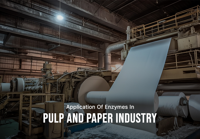 Application of Enzymes in the Pulp and Paper Industry