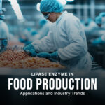 Lipase Enzyme in Food: Applications & Industry Trends