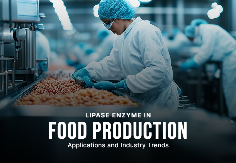 Lipase Enzyme in Food Production: Applications and Industry Trends