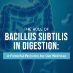 Bacillus Subtilis Probiotic: Best for Gut Health & Digestion