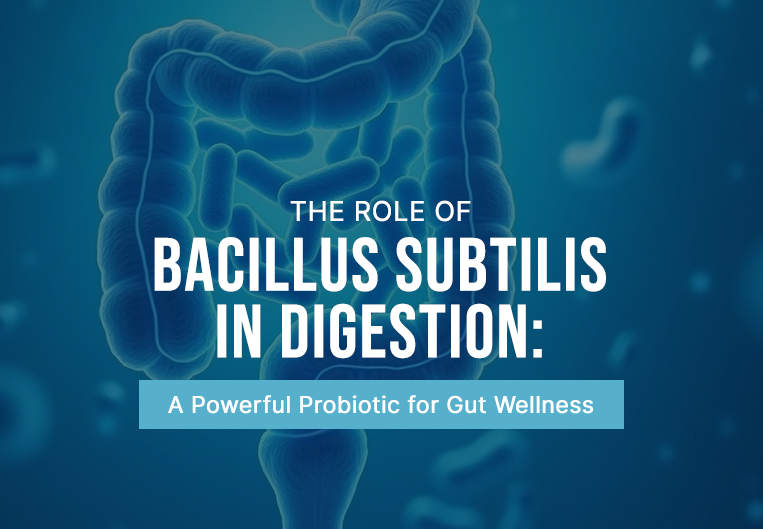 The Role of Bacillus Subtilis in Digestion: A Powerful Probiotic for Gut Wellness