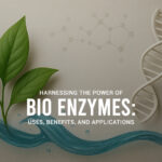 Ultrez BB (Bio Enzymes