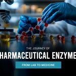 The Journey of Pharmaceutical Enzymes From Lab to Medicine
