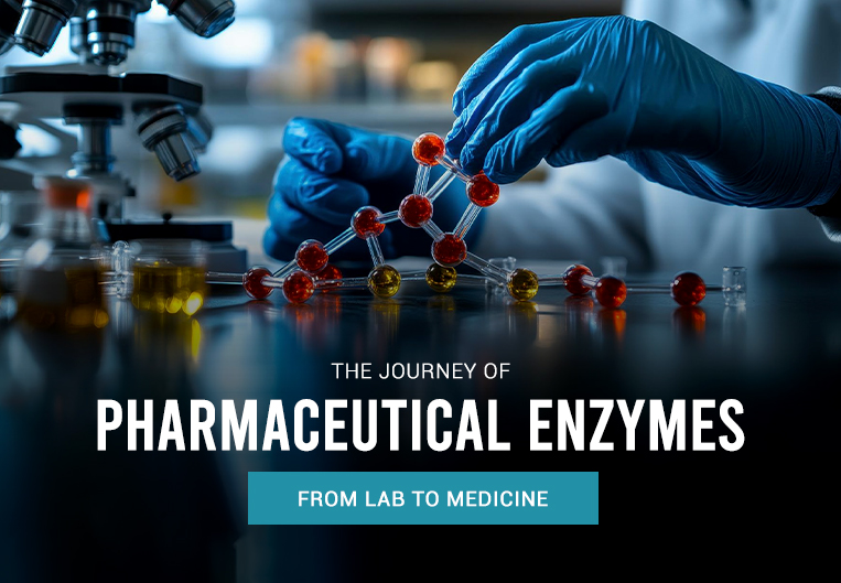 The Journey of Pharmaceutical Enzymes From Lab to Medicine