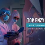 Top Enzymes in the Pharma Industry and Their Key Roles Explained