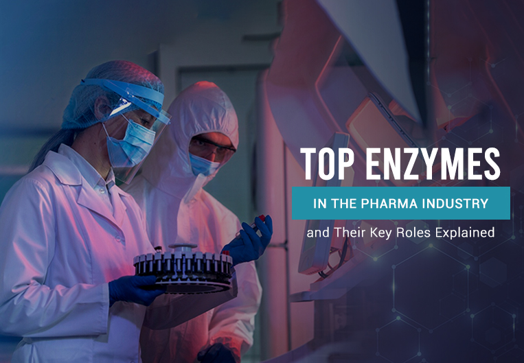 Top Enzymes in the Pharma Industry and Their Key Roles Explained