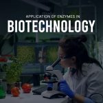 Application of Enzymes in Biotechnology