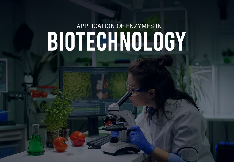 Application of Enzymes in Biotechnology