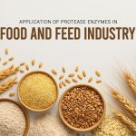 Application of Protease Enzymes in Food and Feed Industry