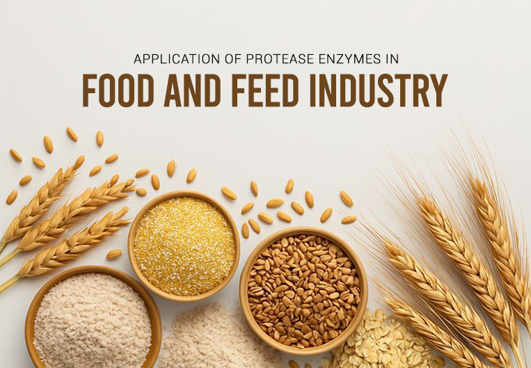 Application of Protease Enzymes in Food and Feed Industry