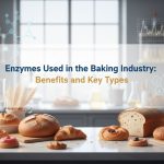 Enzyme Used in the Baking Industry: Benefits and Key Types