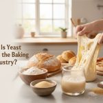 Why Is Yeast Used in the Baking Industry