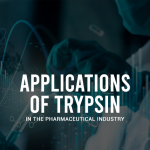 Applications of Trypsin in the Pharmaceutical Industry