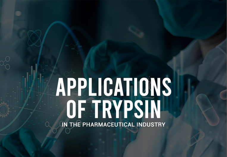 Applications of Trypsin in the Pharmaceutical Industry