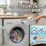 What Are Detergent Enzymes and How Do They Work?
