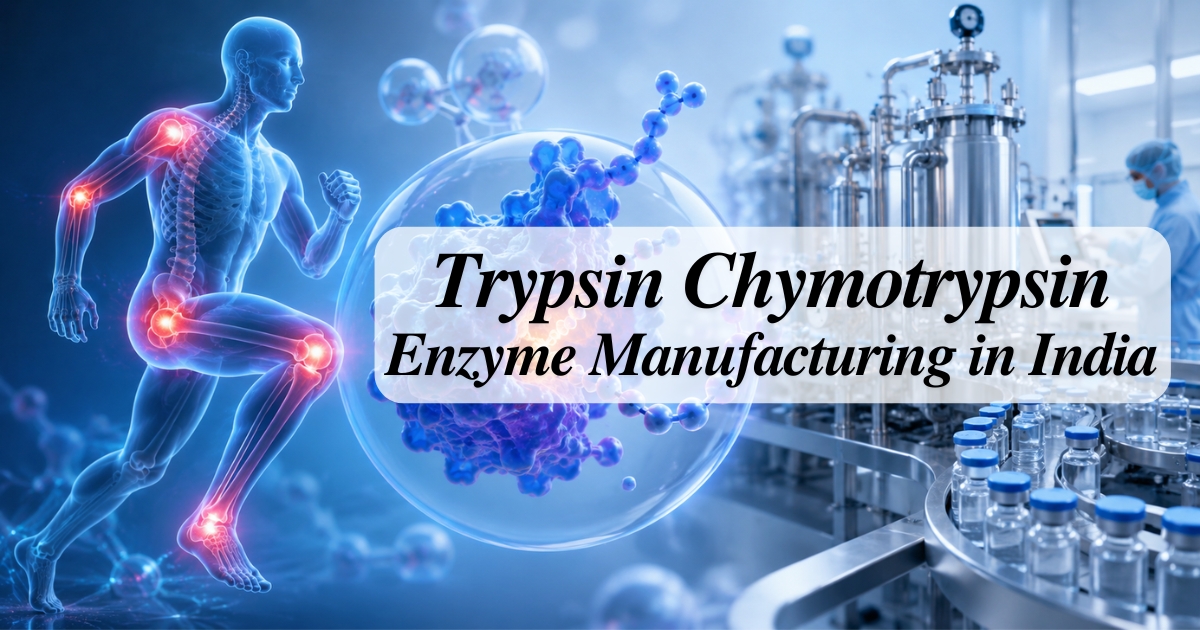 Advanced Trypsin Chymotrypsin : Enzyme manufacturer in India