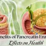 Benefits of Pancreatin Enzyme for Digestion and Nutrient Absorption