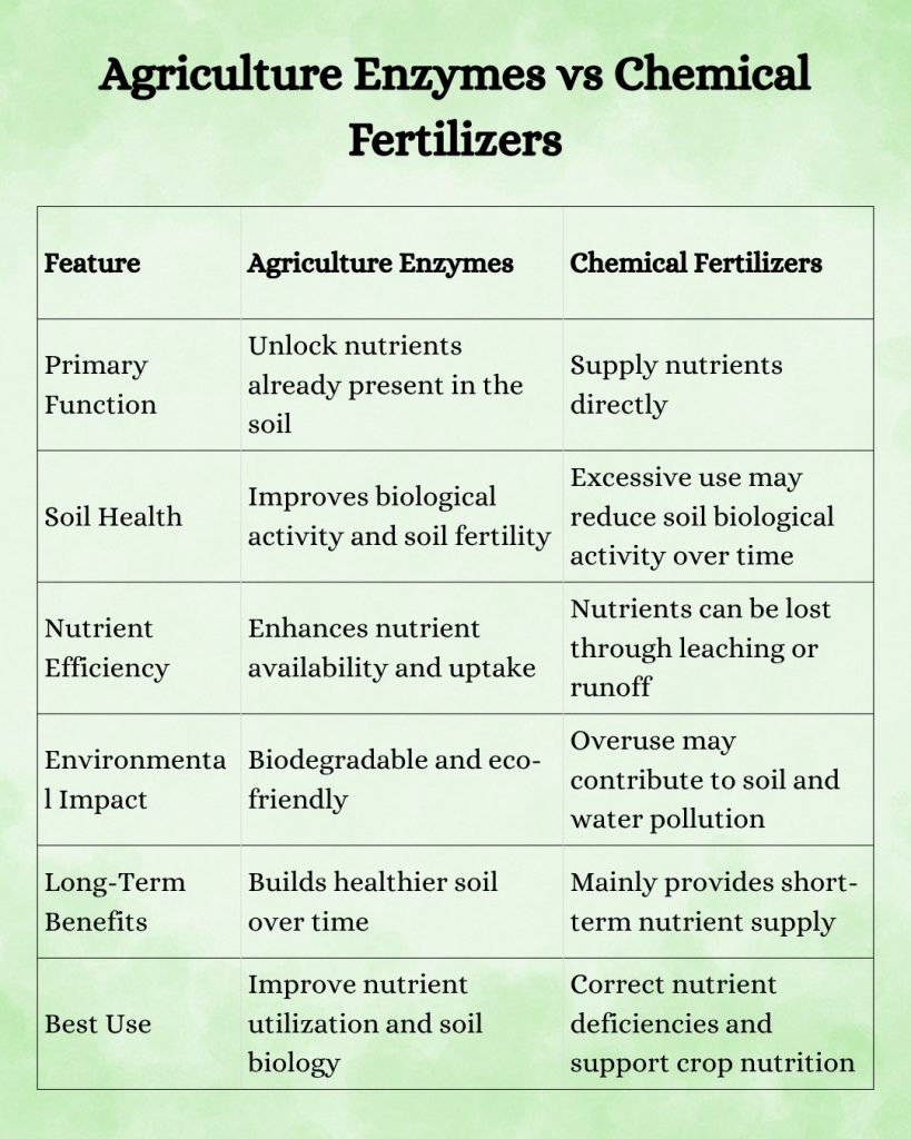 Comparison table showing agriculture enzymes vs chemical fertilizers, highlighting differences in soil health, nutrient efficiency, environmental impact, long-term benefits, and best agricultural applications.