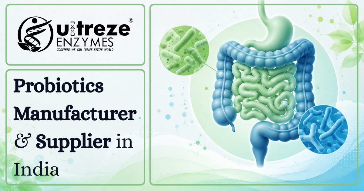 Top Probiotics Manufacturer and Supplier in India | Ultreze Enzymes
