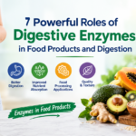Digestive Enzymes in food products and digestion with digestive system and food ingredients.
