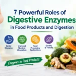 Digestive Enzymes in food products and digestion with digestive system and food ingredients.