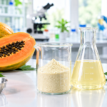 Industrial Applications of Papain Enzyme derived from papaya, featuring papaya fruit, papain enzyme powder, laboratory glassware, and research equipment.