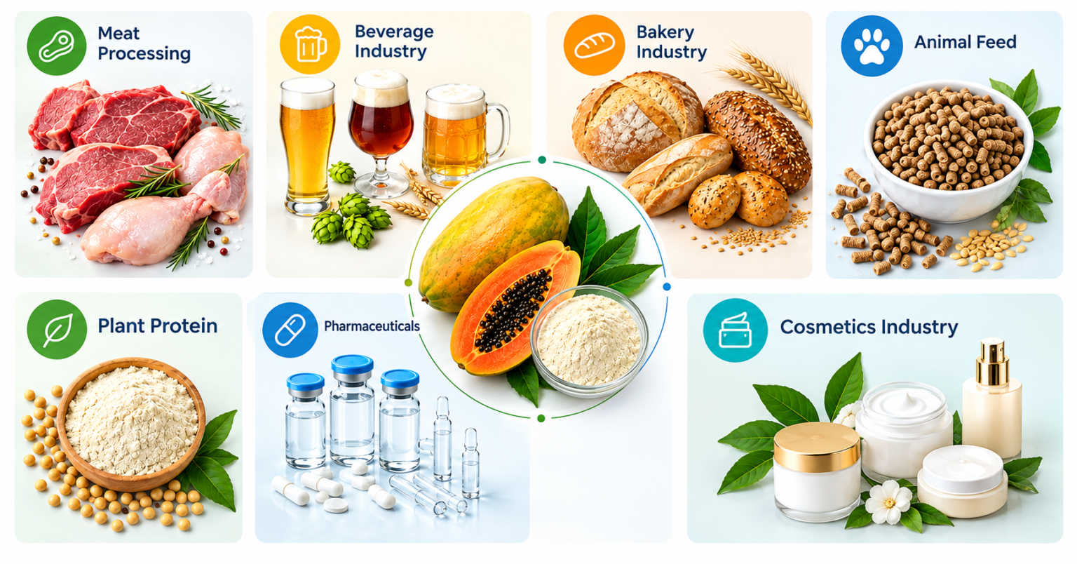 Papain enzymes for diverse industries, including meat processing, beverage, bakery, animal feed, plant protein, pharmaceuticals, and cosmetics.