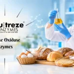 Infographic of the Glucose Oxidase Enzymes reaction converting glucose and oxygen into gluconolactone and hydrogen peroxide